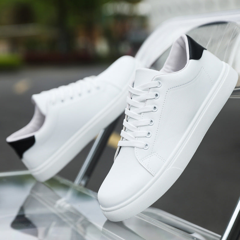 Enzo Leder Sneakers